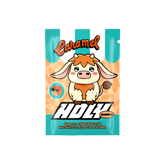Échantillon HOLY Milkshake®